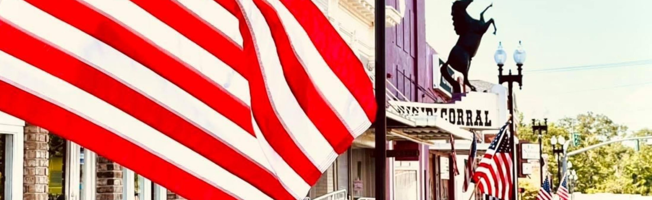 View of downtown with flag